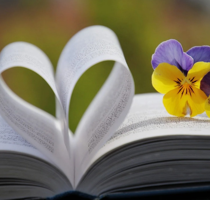 Butterfly side banner